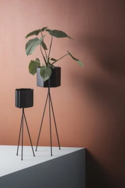 Ferm LIVING Plant Stand, Petit Modèle, Noir -Ferm Living FERM LIVING IMAGE 01