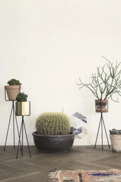 Ferm LIVING Plant Stand, Petit Modèle, Noir -Ferm Living R5A8359 new